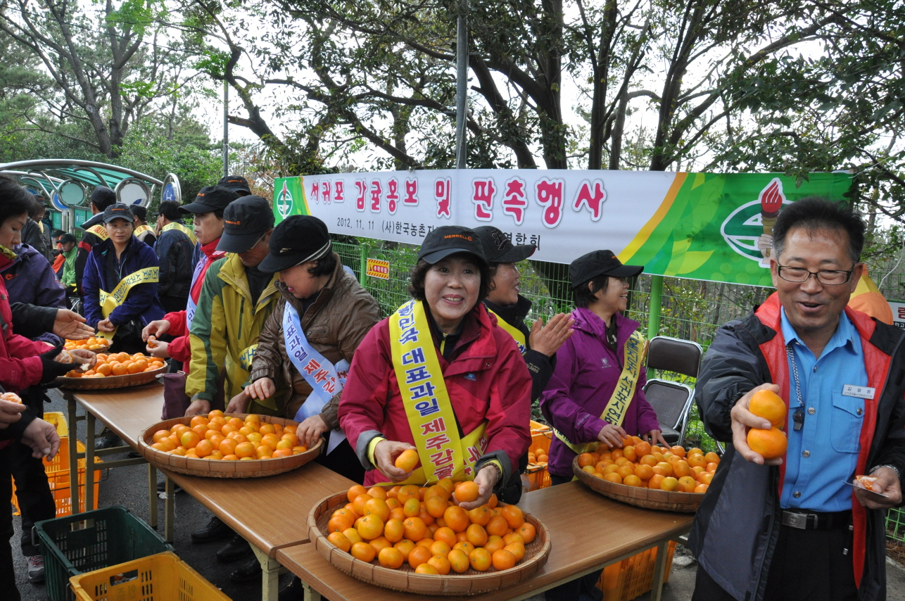 감귤 무료시식 및 판촉 홍보행사
